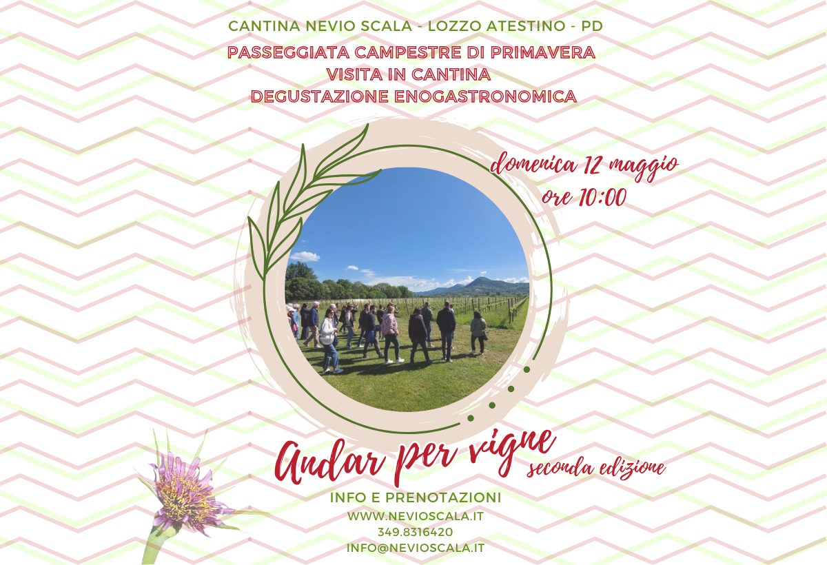 Andar per vigne il 12 maggio