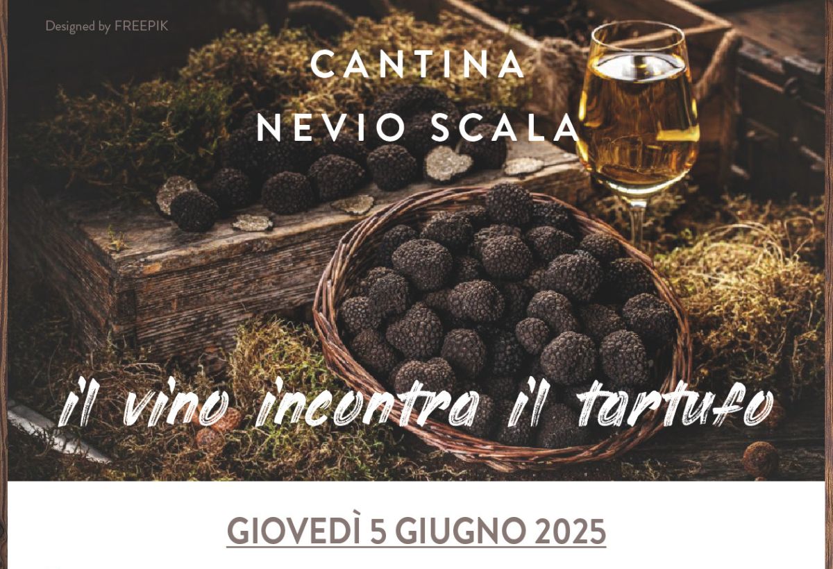 Degustazione vini Nevio Scala e tartufo