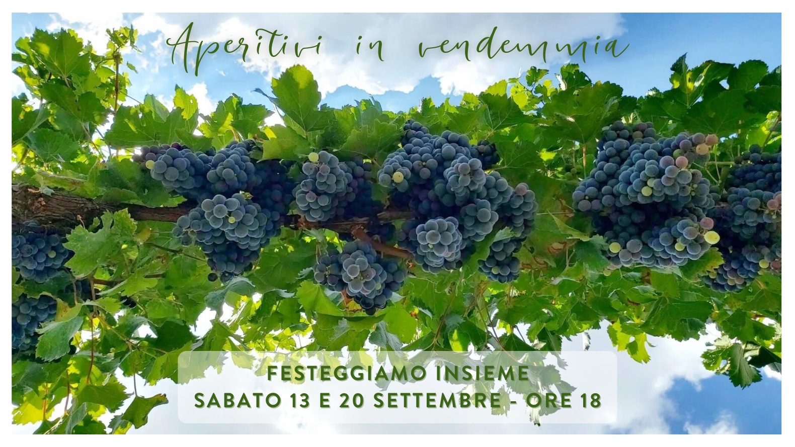 Aperitivi cantina NEVIO SCALA