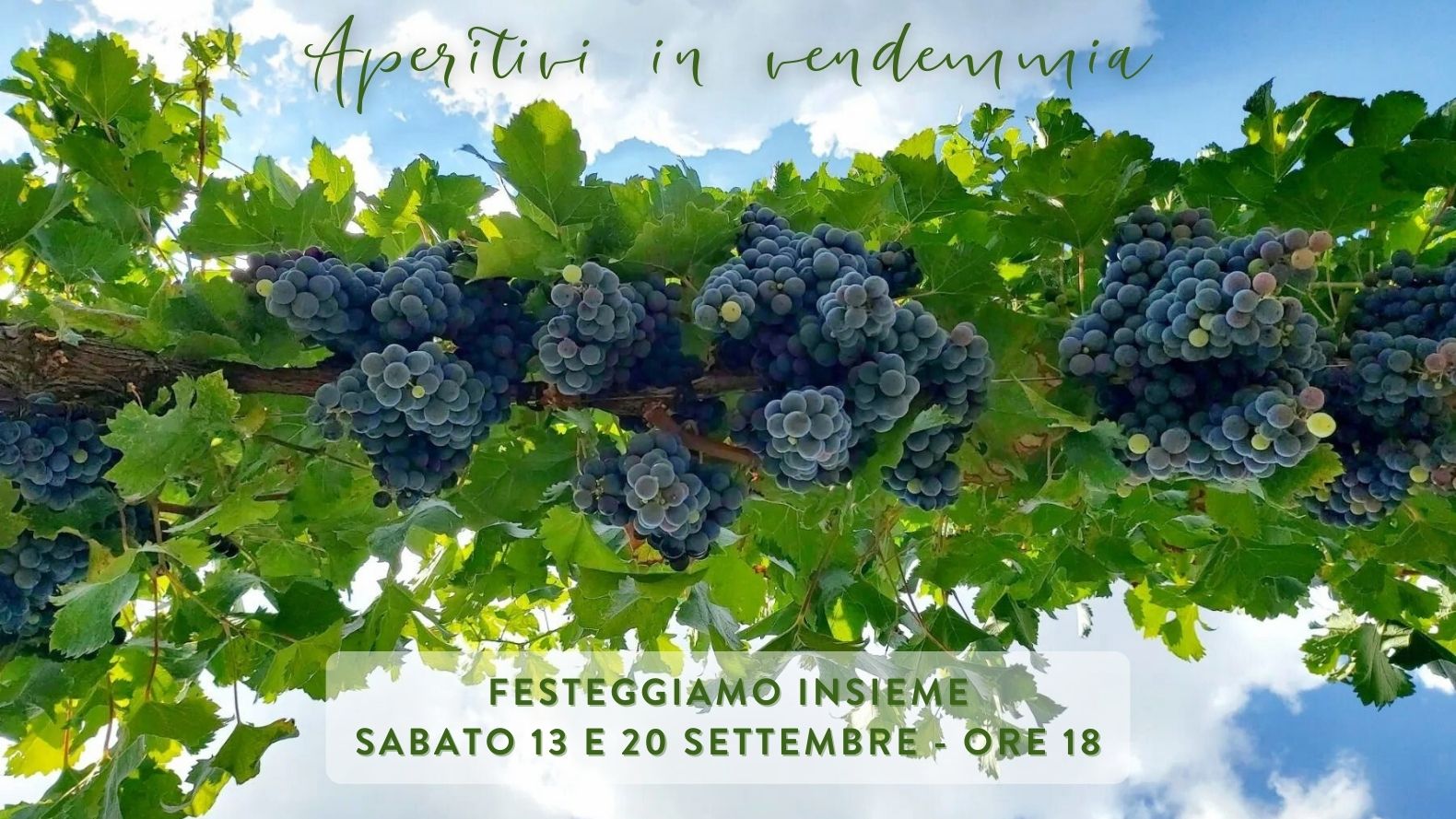 Aperitivi in vendemmia Cantina Nevio Scala