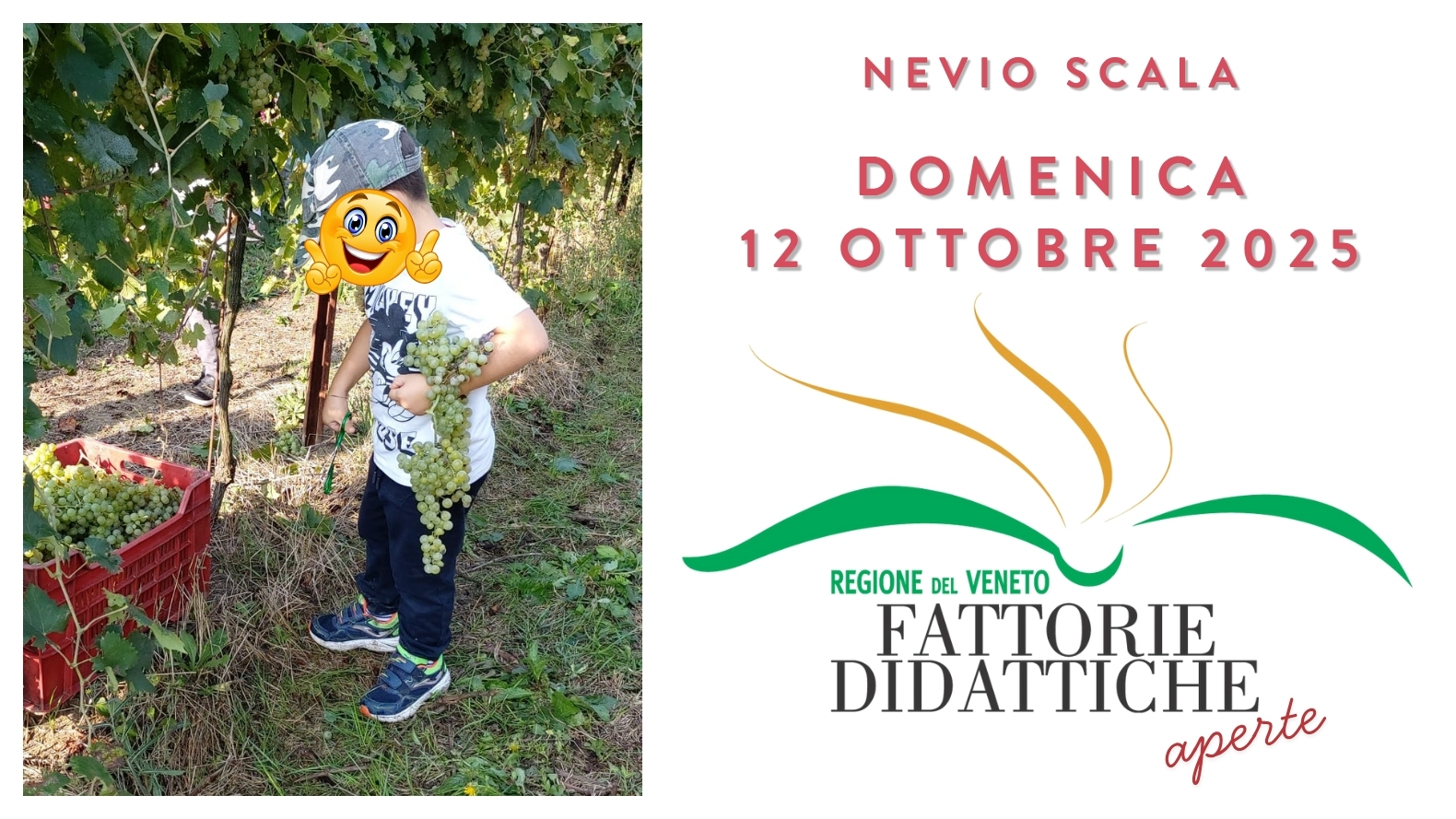 FATTORIA DIDATTICA APERTA