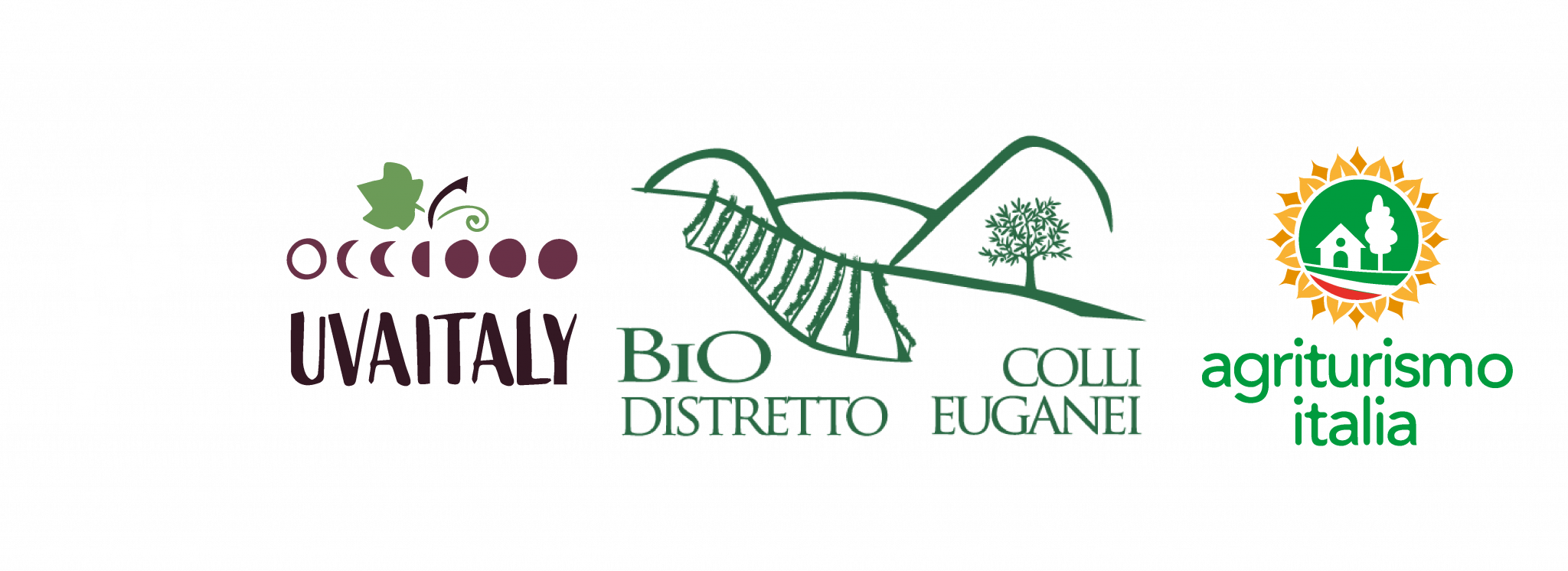 NEVIO SCALA SOCIETA' AGRICOLA S.S. — foto 8