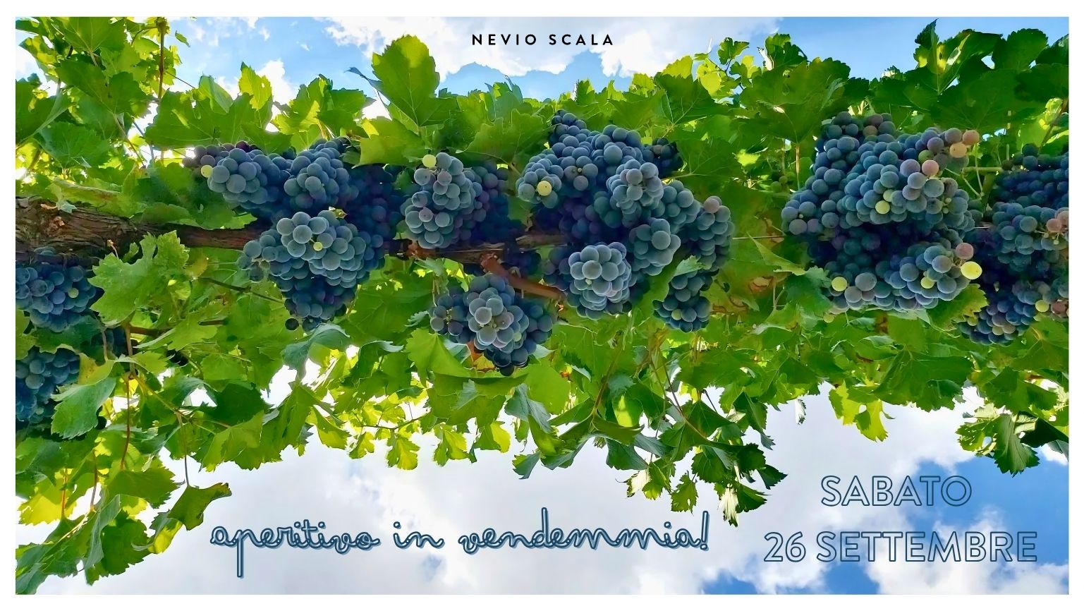Aperitivo in vendemmia in cantina Nevio Scala
